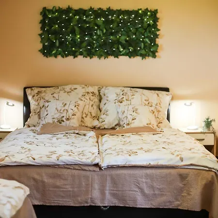 Vad-lak Vendeghaz 아그텔레크