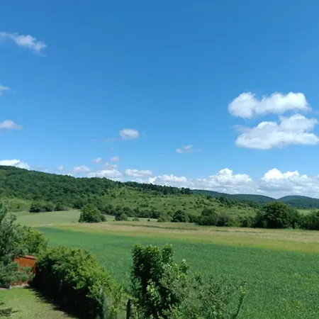 Vad-lak Vendeghaz *