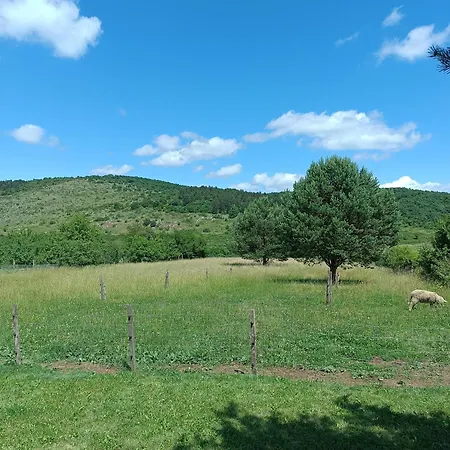 아파트 Vad-lak Vendeghaz *