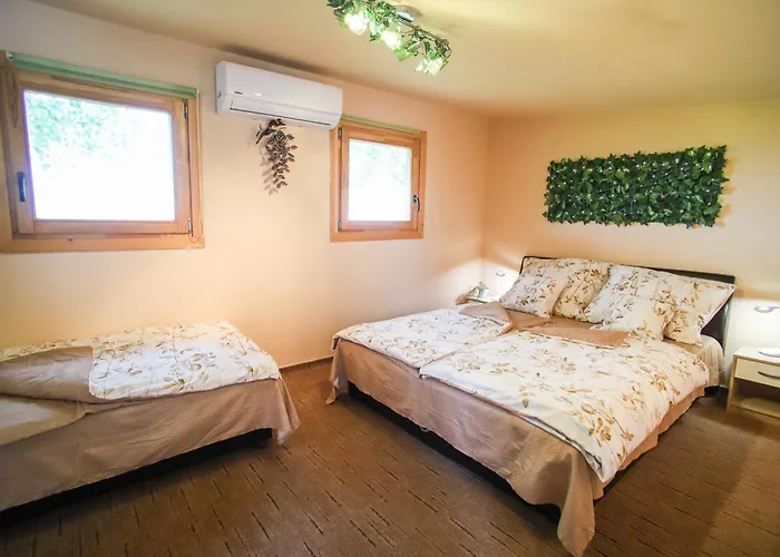Vad-lak Vendeghaz Apartament *
