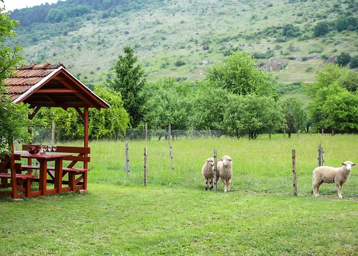 Vad-lak Vendeghaz *
